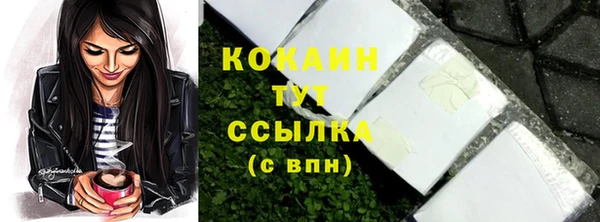 метадон Елизово