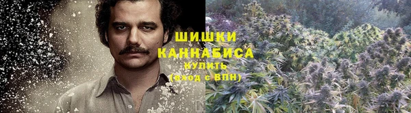 тгк Елабуга