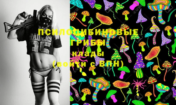 марки lsd Ельня