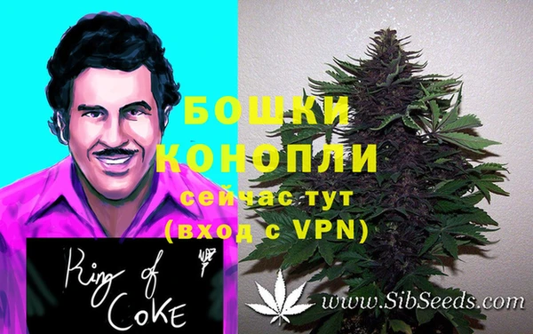 тгк Елабуга