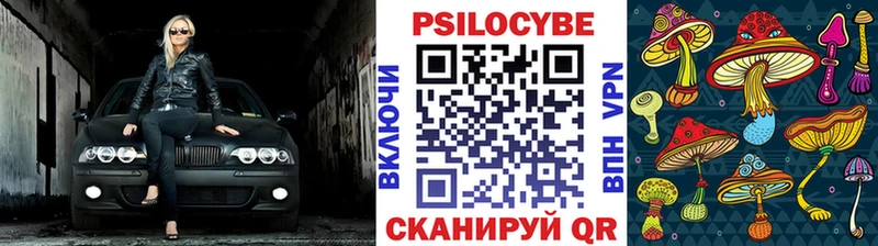 Купить закладки  Киржач  Псилоцибиновые грибы мухоморы 